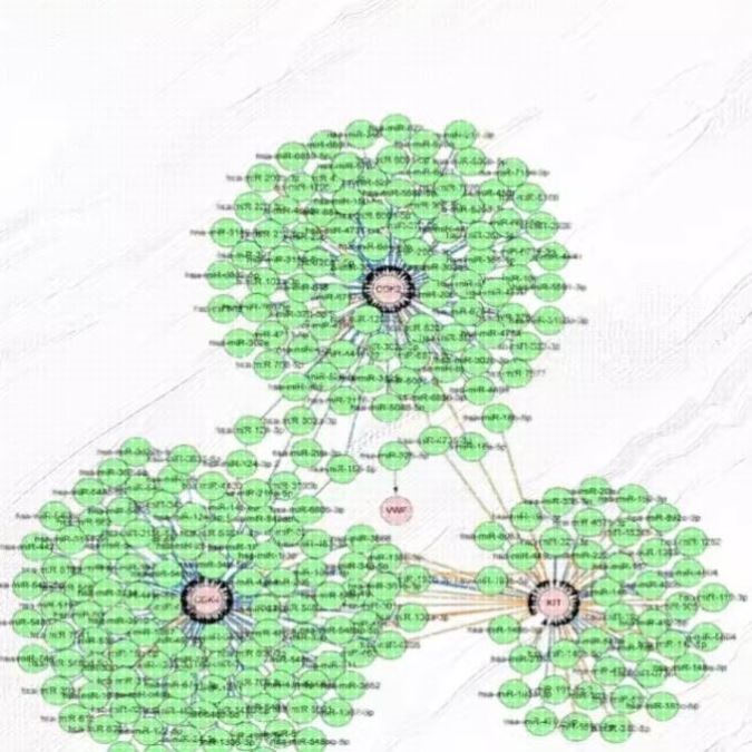 中医药网络药理学代做 网药 TCMSP GO/KEGG cytoscape 分子对接