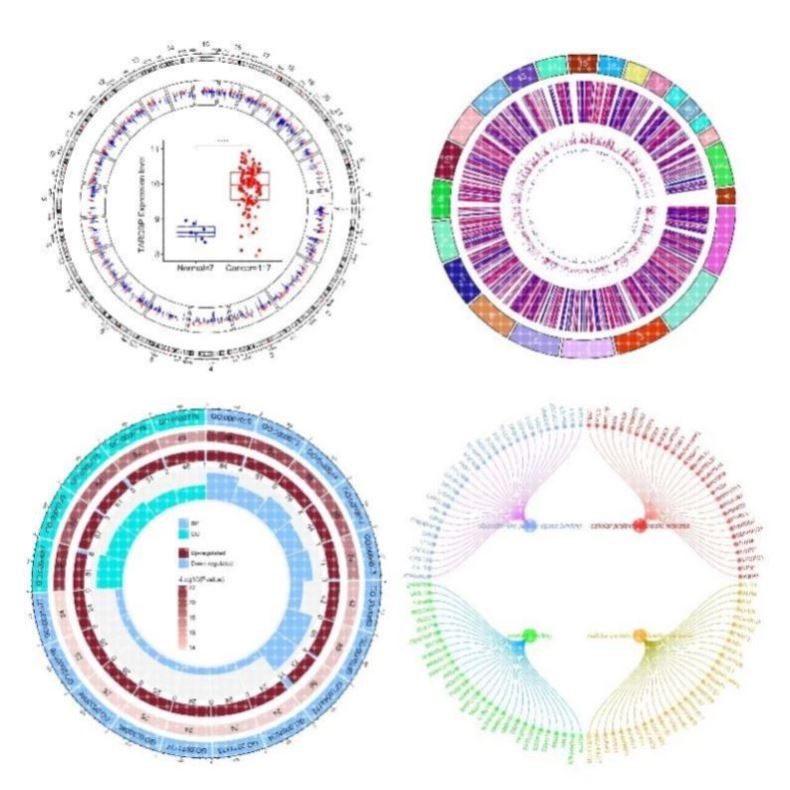 R语言画图绘图生信医学数据可视化作图辅导医学生信分析
