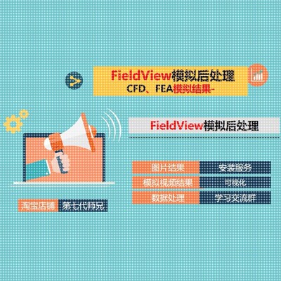 FieldView模拟后处理+安装服务+教程+CFD数据云图fluent结果EFA