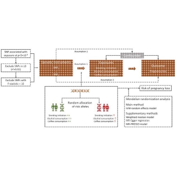 孟德尔随机化代做一区共病思路定制遗传相关GWAS分析流行病统计