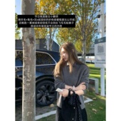 ski 绒羊毛混纺复古宽松小翻领毛衣女 Tannin赤兔圣诞vibe浣