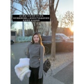 ski 女冬 进口100羊毛三角标显瘦半高领毛衣针织衫 Tannin赤兔