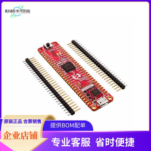 EV76S68A【SAME51 CURIOSITY NANO EVALUATION】开发板 套件 编