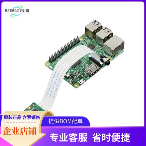 3099【CAMERA BD RASPBERRY PI 8MP】开发板 套件 编程器