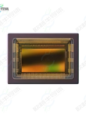 CMV2000-3E5M1PP[传感器IMAGE SENSORS \u0026 COLOR SENSORS AR]