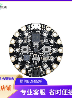 3000【CIRC PLAYGROUND CLASS ATMEGA32U4】开发板 套件 编程器