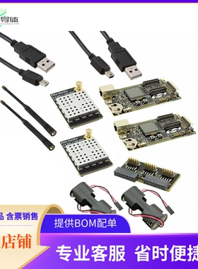 SLWSTK6065A【DEV KIT EFR32FG 169MHZ 2.4GHZ】开发板 套件 编