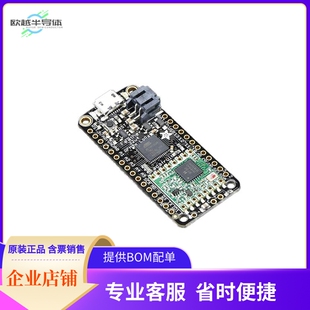 3079【ADAFRUIT FEATHER 32U4 RFM96W LOR】开发板 套件 编程器