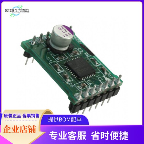 AM306228R1DBGEVB【BOARD DAUGHTER I2C STEP DVR NQFP】开发板