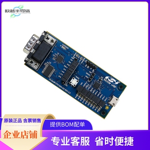 EVALUATION 套件 UART USB CP2102N 开发板