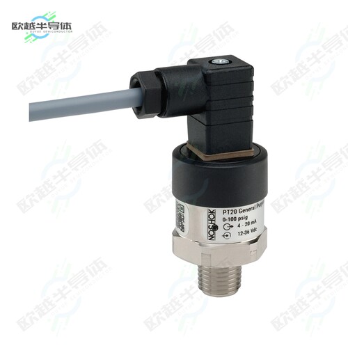 PT20-15PSIG-1-1-2-17-CC-O2[传感器GENERAL PURPOSE TRANSMITTER