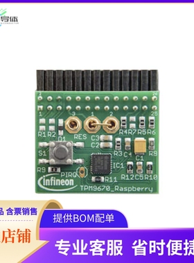 IRIDIUMSLM9670TPM20TOBO1【EVAL IRIDIUM SLM 9670 RASPBERRY】