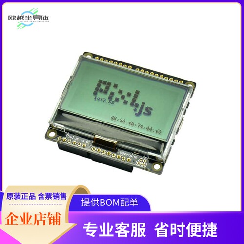 ESP005【ESPRUINO PIXL.JS】开发板 套件 编程器