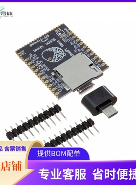 102110199【SIPEED LICHEE NANO 16M BRD】开发板 套件 编程器