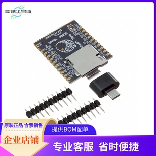 102110199【SIPEED LICHEE NANO 16M BRD】开发板 套件 编程器