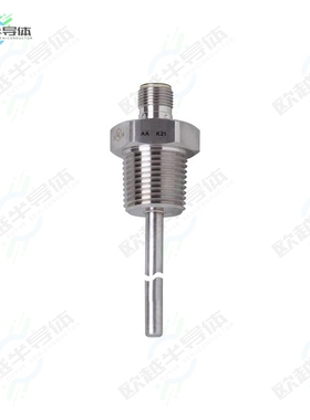 TM4311[传感器SENSOR RTD CYLINDER]