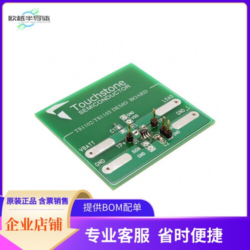 TS1102-100DB【BOARD DEMO TS1102-100】开发板 套件 编程器