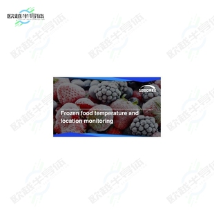 TM-F-F-N[传感器Frozen food temperature loca]