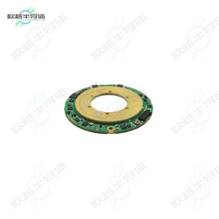 RAIK060I11318JB694[传感器ENC ABSLT SSI USER SELECT CONN]