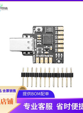 4514【SERPENTE CIRCUITPYTHON USBC PLUG】开发板 套件 编程器