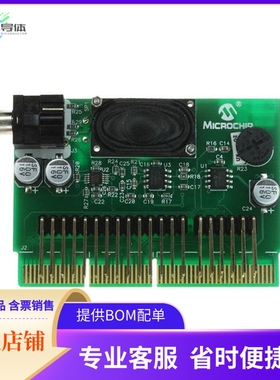 AC164125【BOARD DAUGHTER PICTAIL SPEECH】开发板 套件 编程器