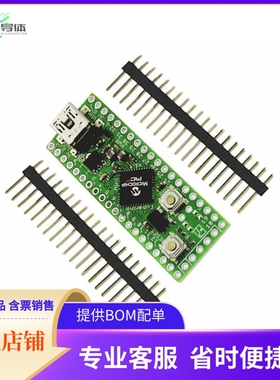 TCHIP011【FUBARINO MINI PIC32MX250F128D】开发板 套件 编程器