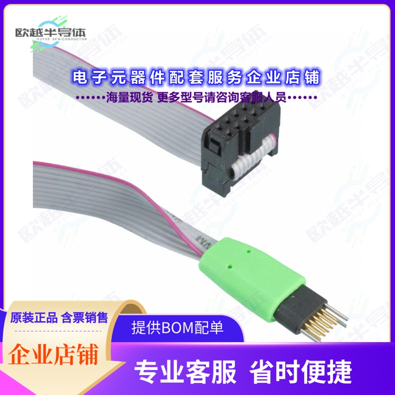 开发套件TC2050-IDC-NL[PLUG-OF-NAILS 10-PIN W/O LEGS 8寸]