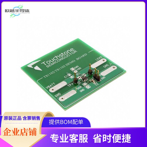 TS1102-25DB【BOARD DEMO TS1102-25】开发板 套件 编程器