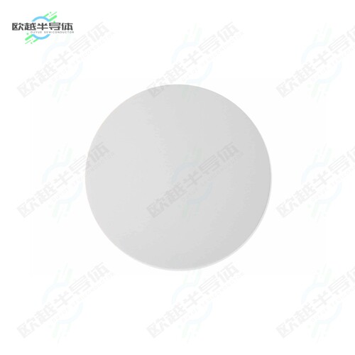 100729[射频元件SELF-ADHESIVE RFID TAG]