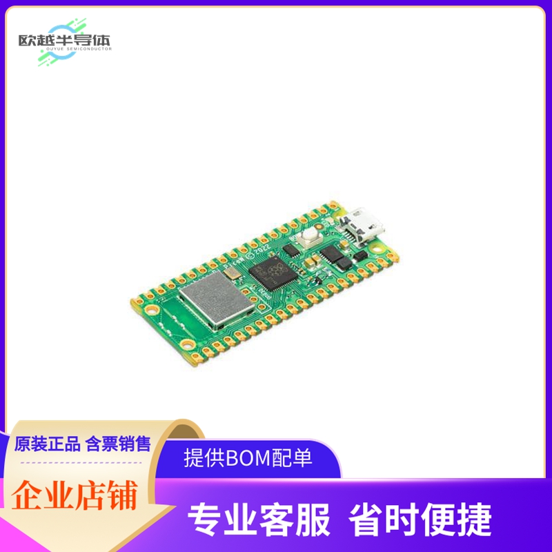 SC0918【RASPBERRY PI PICO W】开发板 套件 编程器