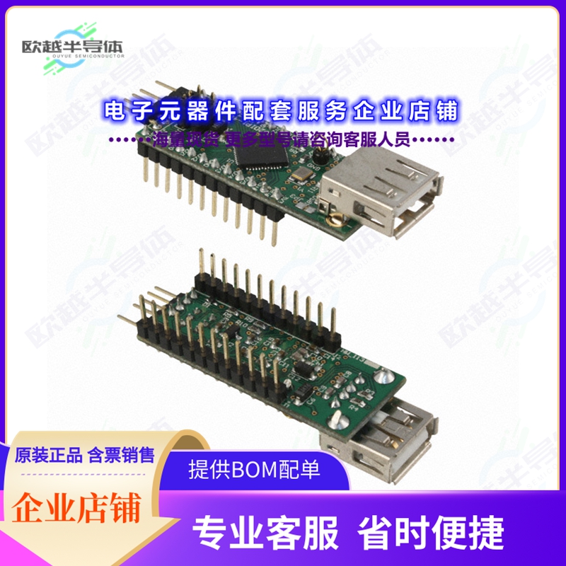 开发套件V2DIP1-48[EVAL BOARD FOR VNC2-48Q]