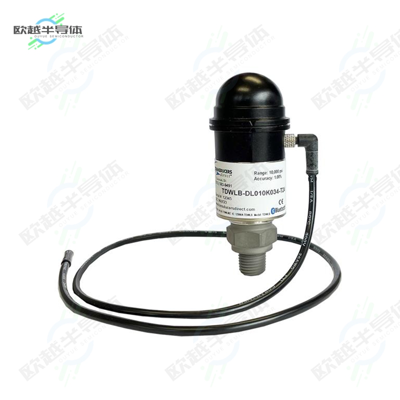 TDWLB-DL010K092-T48[传感器Datalogging Press & Temp Sensor]
