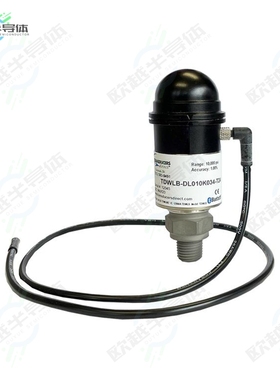 TDWLB-DL0650032-T48[传感器Datalogging Press & Temp Sensor]