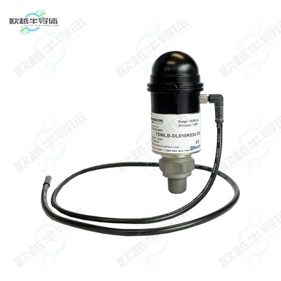 TDWLB-DL0250034-T48[传感器Datalogging Press & Temp Sensor]