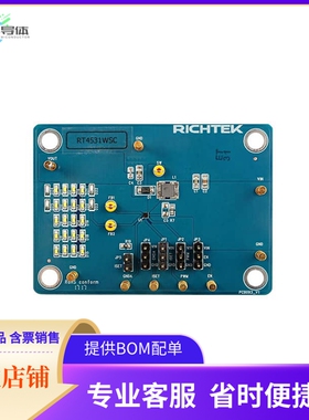 EVB_RT4531WSC【EVAL MODULE FOR RT4531WSC】开发板 套件 编程器