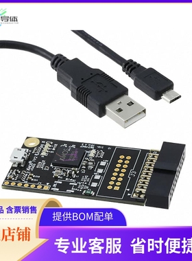 XA-XTAG【ADAPTER USB DEBUGGER JTAG XSYS2】开发板 套件 编程器