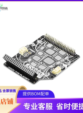 4863【ADAFRUIT CYBERDECK HAT FOR RASPB】开发板 套件 编程器