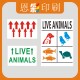 猫狗live animals航空贴宠物空运托运不干胶贴纸动物运输向上警示