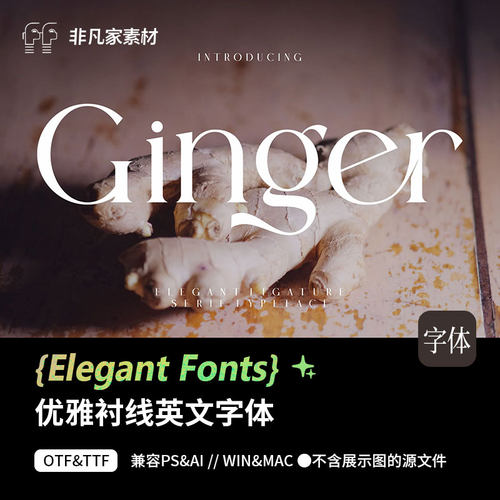 1款优雅衬线现代时尚英文字体包下载创意设计素材PSAI字体素材