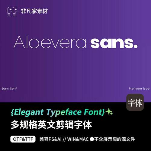 高级多字高级重排版多规格标题剪辑非衬线英文海报网页字体包PSAI