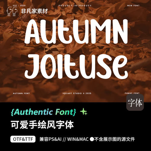 1款美式复古风时尚趣味英文字体安装包海报标题物料排版psAI字体