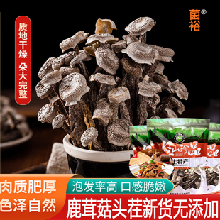 鹿茸菇干货500g鹿茸菌非特级野生古田脆脆菇特产煲汤食材蘑菇香菇
