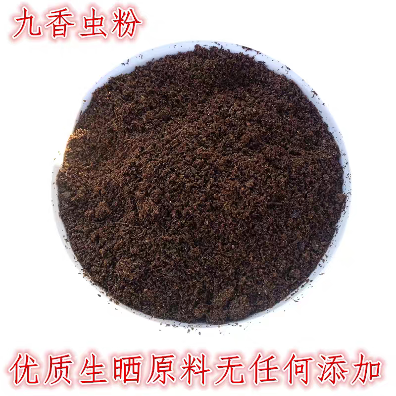 九香虫粉瓜黑蝽新货打屁虫皮巴虫 臭壳子虫100克包邮打粉100%