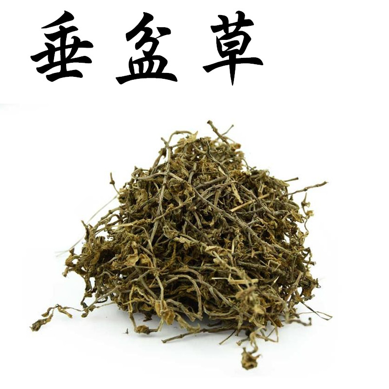中药材垂盆草 狗牙齿 石指甲 养鸡草 瓜子草500克包邮