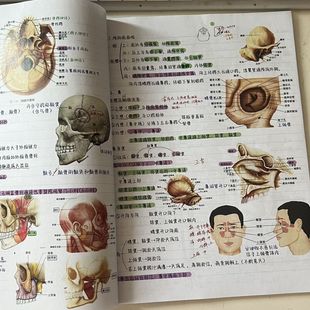 升级版霍琨系统解剖学笔记本知识点梳理学霸整理笔记全彩色