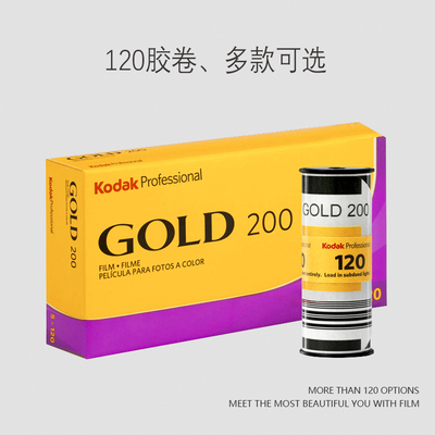 120 Kodak Gold 200 Color Type Reverse Fiton