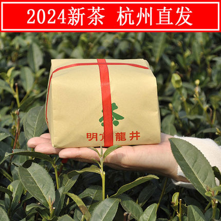 现货2024新茶叶 杭州明前龙井特级A250克 春茶农直销绿茶手工纸包