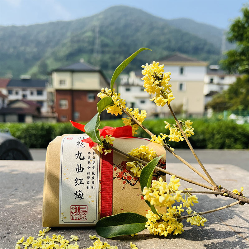 桂花九曲红梅新茶叶杭州特产红茶