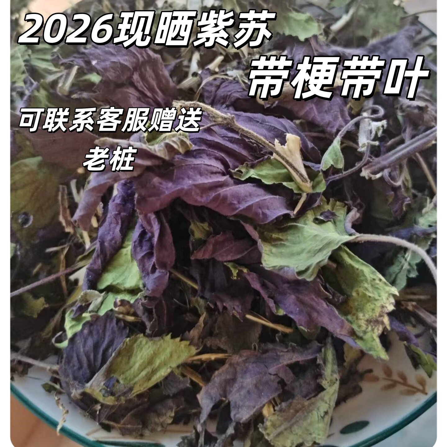 四川南充新鲜晒干紫苏梗叶双面紫全茎叶老桩中药材泡茶泡澡无硫