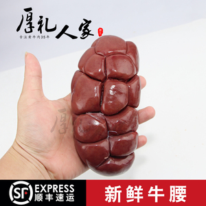 牛腰牛腰子新鲜牛腰牛腰 腰子黄牛腰子1个烧烤火锅食材牛杂